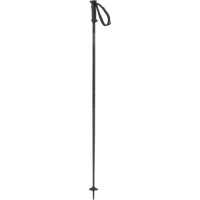 Salomon Polar Access Skistok