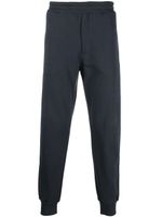 Alexander McQueen pantalon de jogging imprimé en coton - Bleu - thumbnail