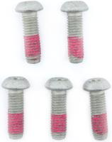 TRW bouten-set screw 5pcs. for brake rotors,5 pcs.