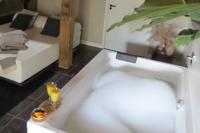 Samen genieten en ontspannen in luxueuze privé spa wellness Samen genieten en ontspannen in luxueuze privé spa wellness