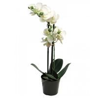 Phalaenopsis Orchidee In Pot 50 cm wit kunstplant - Nova nature