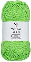 Yarn and Colors Epic 085 Pesto