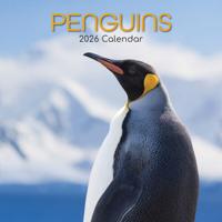 Pinguïn Kalender 2026