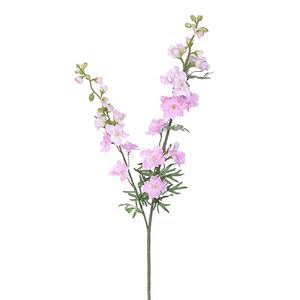 Delphinium tak l.pink - Buitengewoon de Boet