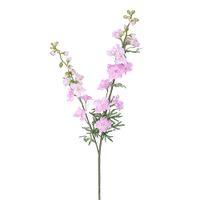 Delphinium tak l.pink - Buitengewoon de Boet - thumbnail