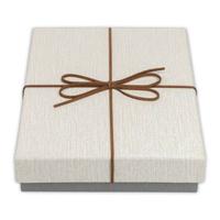 Zep opbergdoos bx3514a box piacenza a 15,3x21,4x4 Zep opbergdoos bx3514a box piacenza a 15,3x21,4x4