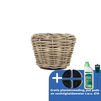 Drypot Sawah Extra Dik Rotan Grijs d57h43cm met dichte inzetpot Drypot Sawah Extra Dik Rotan Grijs d57h43cm met dichte inzetpot
