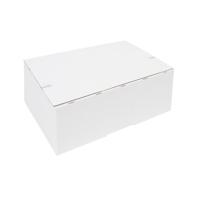 Postpakketbox iezzy 2 200x140x80mm wit