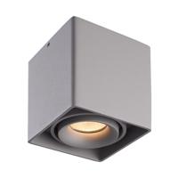 Vierkante LED Opbouwspot Esto - Kantelbaar - Dimbaar - 2700K warm wit - 4 Watt 345 lumen - GU10 - Plafondspot - Voor binnen - Vervangbare afdekring - Grijs
