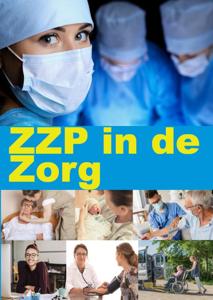 ZZP in de Zorg (Paperback)