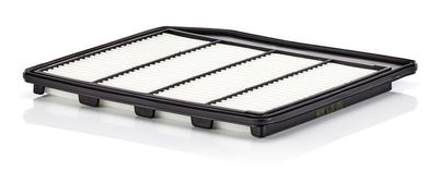 Luchtfilter C30080