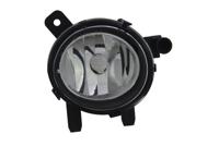 Mistlamp links 196016019