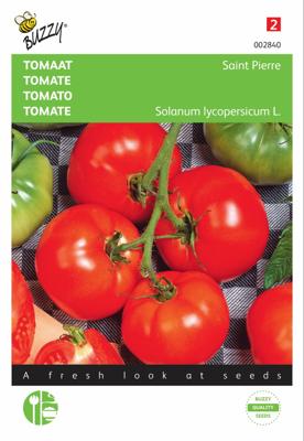 Tomaten St. Pierre Grote Vollegrondse - Buzzy