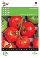 Tomaten St. Pierre Grote Vollegrondse - Buzzy