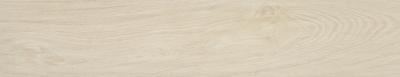 Tiare Bianco 23x120 rett