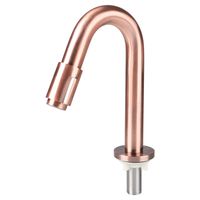 Differnz Fonteinkraan gebogen 19cm rood koper 30.416.33