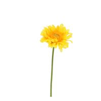 Gerbera Vanda Kunstbloem 48cm Geel