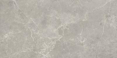 Vloertegel Concept Grey gepolijst 60x120 rett