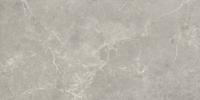 Vloertegel Concept Grey gepolijst 60x120 rett
