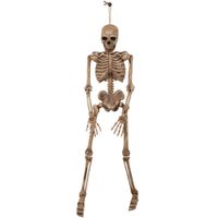 Horror/Halloween decoratie skelet/geraamte pop - hangend - 106 cm