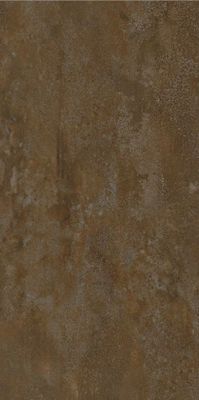 Century Titan Vloertegel | 60x120 cm | Gerectificeerd | Metallook | Mat Bruin