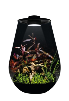 Bioart Drop 345 zwart Bioart Drop 345 zwart