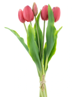 Bosje kunst tulpen Holland Sally X5 beauty 36 cm - Buitengewoon de boet