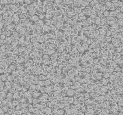 Now or Never 83 - Grijs