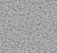 Now or Never 83 - Grijs Now or Never 83 - Grijs
