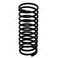 PAT40-10020004 - LENTE Parsun