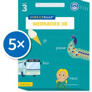 Schrijfbaas Blokletters Werkboek 3B (Set van 5) (Paperback)
