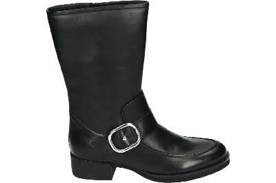 Hogl 102943 - alle