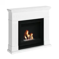 Larsen Witte Bio-ethanol open haard