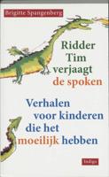 Ridder Tim verjaagt de spoken (Paperback)