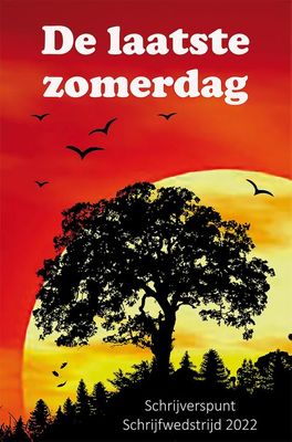 De laatste zomerdag - - ebook