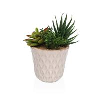 Decoratieve plant Versa Keramisch Plastic Fusion Vetplant 7,8 X 14 X 7,8 CM