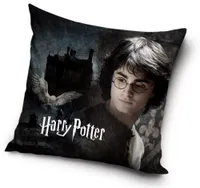 Harry Potter sierkussen 40X40 cm - thumbnail