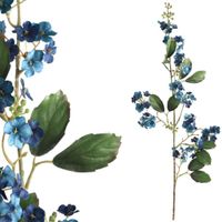 Garden bloem blue viburnum spray