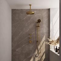 BRAUER Stripe Thermostatische Inbouw Regendouche - SET 12 - 25cm douchekop - plafondarm - 3-standen handdouche - doucheslang - geïntegreerde glijstang - goud geborsteld PVD 5-GG-387