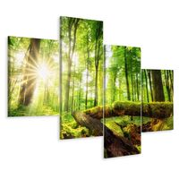 Schilderij - Zonnestralen in het bos, 4 luik, premium print, wanddecoratie - thumbnail