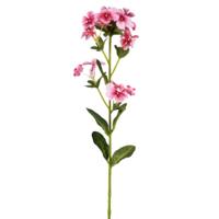 kunstbloem Phlox roze 71 cm | 12 stuks