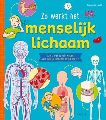 Zo werkt het menselijk lichaam (Hardback)