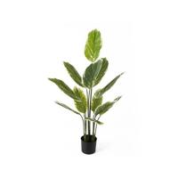 present time - Artificial Plant Calathea Large - thumbnail