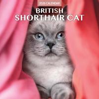 Brits Korthaar Kalender 2026