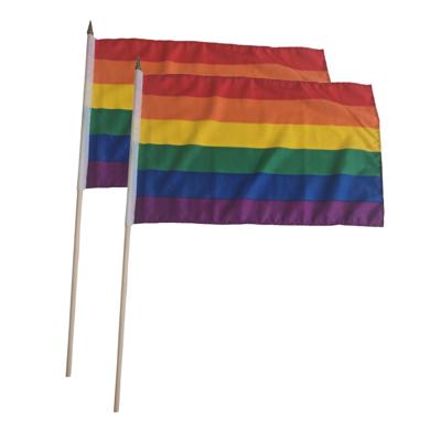 2x Luxe zwaaivlaggen regenboog 30 x 45 cm met houten stok
