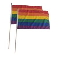 2x Luxe zwaaivlaggen regenboog 30 x 45 cm met houten stok