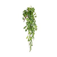 Hoya Carnosa Kunst Hanger 80cm RT