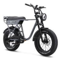 Ape Ryder A10 Fatbike Grijs - 25KM/H - Elektrische Scooter
