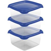 Vershoudbakjes Hega - set van 3x stuks - 1.3 liter - transparant/donkerblauw - L16 x B16 x H11 cm