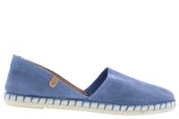 Verbenas Carmen iris lichtblauw  - thumbnail